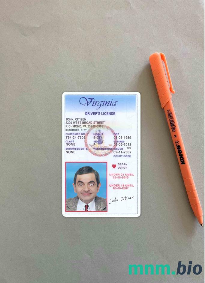 USA Wirginia prawo jazdy poniżej 21 lat photolook, w pełni edytowalny